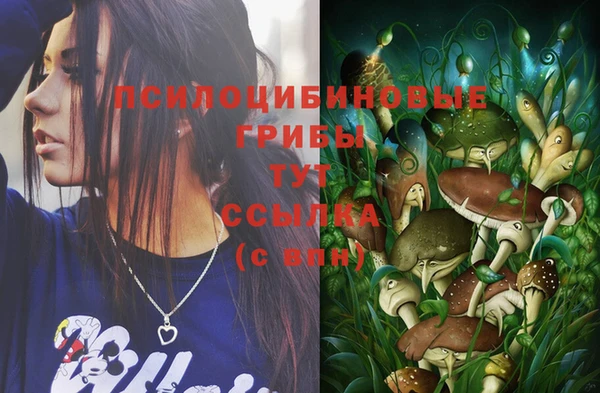 хмурый Алексеевка