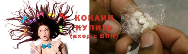 PSILOCYBIN Михайлов