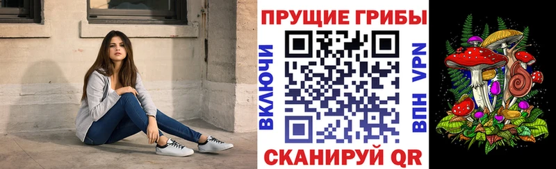 купить наркотик  Минусинск  Галлюциногенные грибы GOLDEN TEACHER 